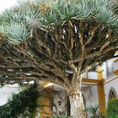 Casa Do Castelo - Turismo De